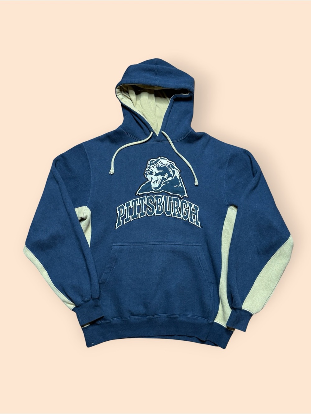 Vintage Pitt Panthers Y2K Hoodie Men’s Small Blue Vtg 2000s Pittsburgh